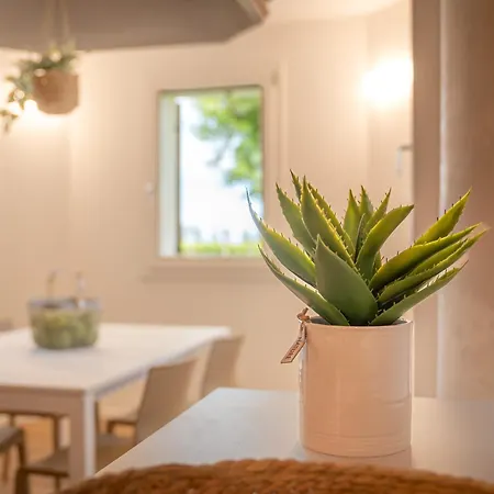 Barchessa Cappelletto 3* Torre di Mosto