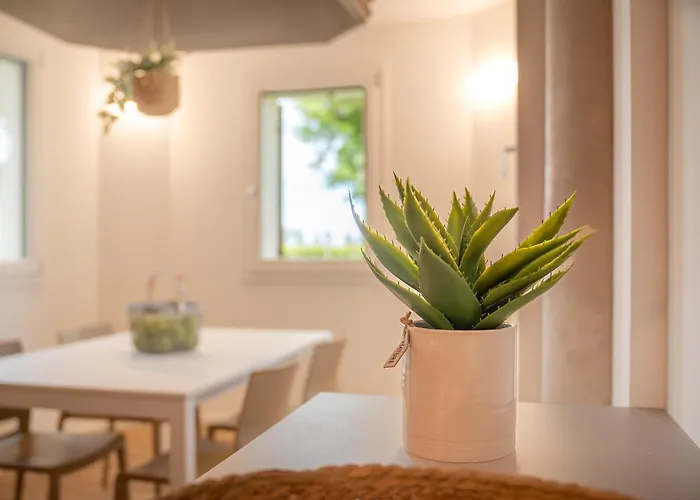 Barchessa Cappelletto 3* Torre di Mosto