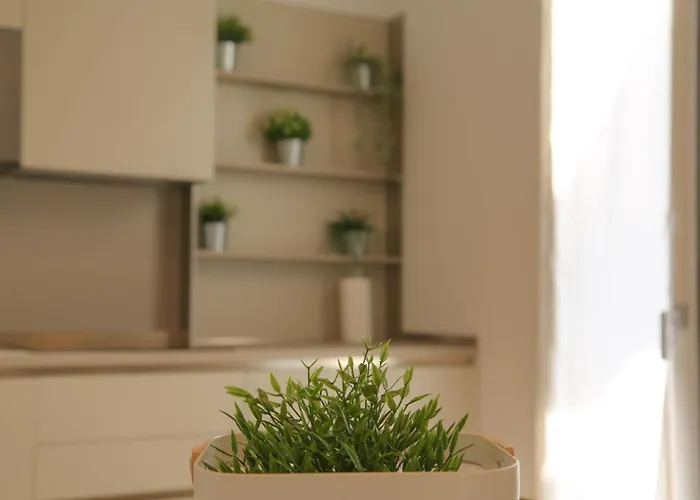 Aparthotel Barchessa Cappelletto Torre di Mosto